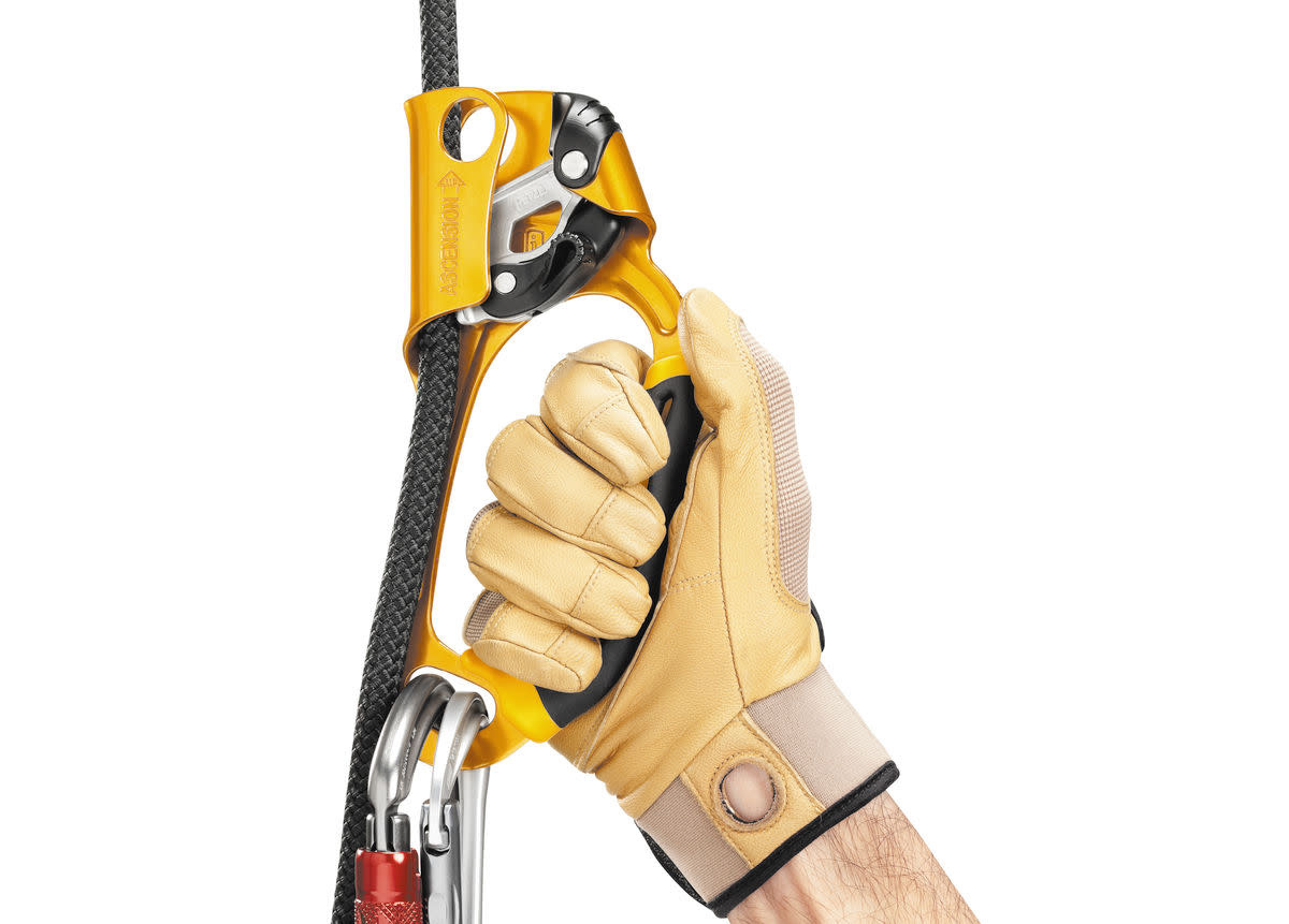 Petzl Petzl Ascension Ascender