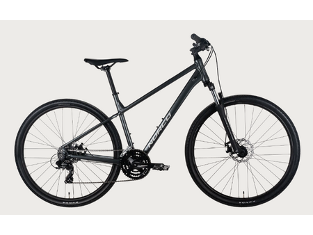 Norco 2021 Norco XFR 3 29"