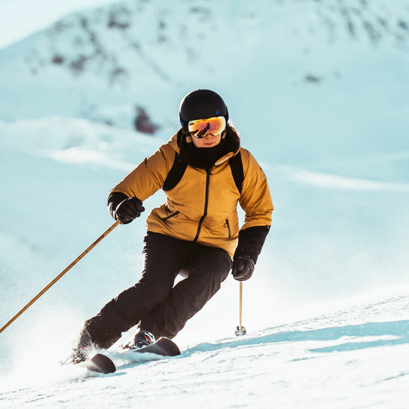 Julbo Julbo Shadow Snow Goggles