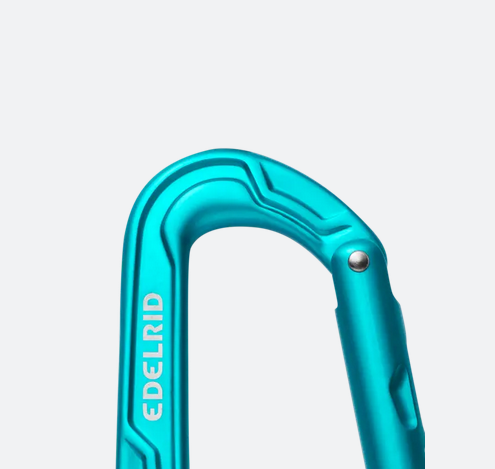 Edelrid Edelrid Axiom Carabiner, Icemint