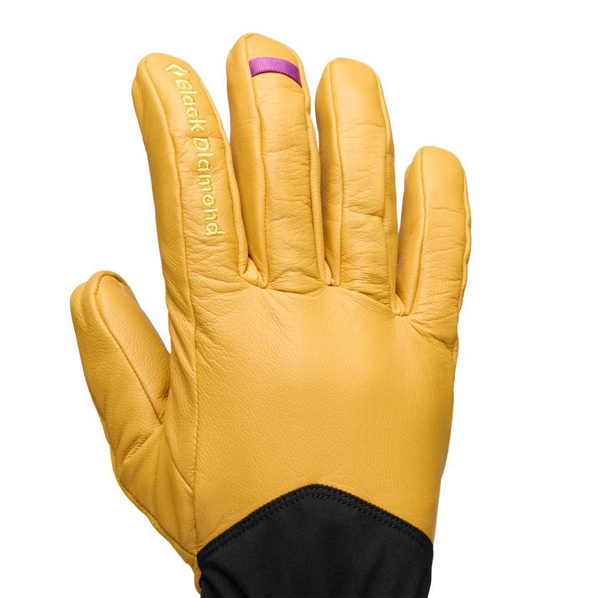 Black Diamond Black Diamond Tour Gloves
