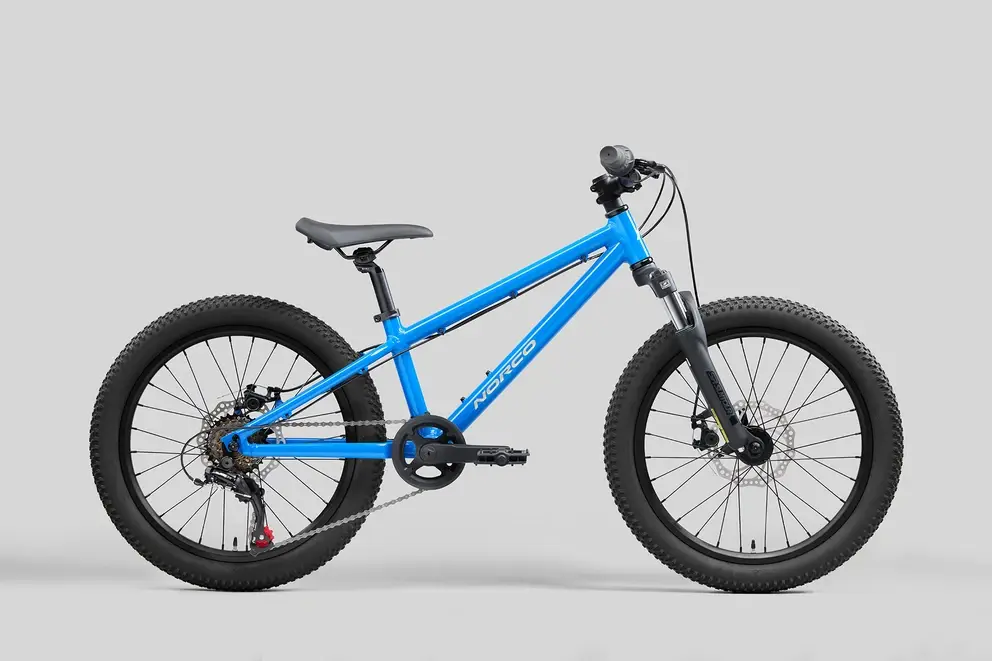 Norco 2025 Norco Storm 20"