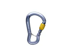 Black Diamond Black Diamond Gridlock Screwgate Carabiner