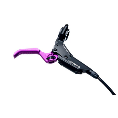 Hayes Hayes Dominion A4 Hydraulic Disc Brakes