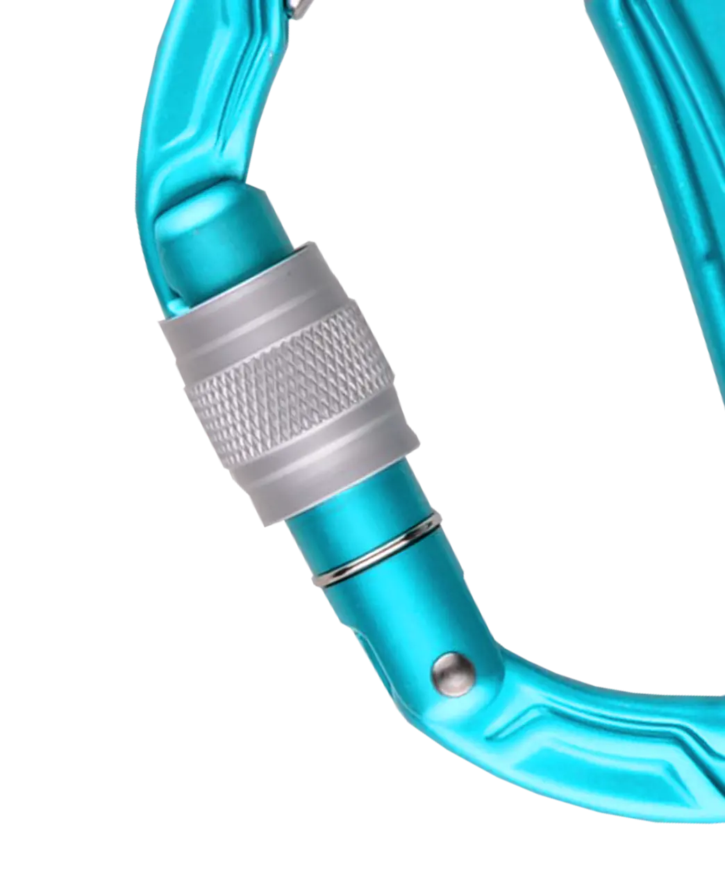 Edelrid Edelrid Bulletproof Screw Carabiner