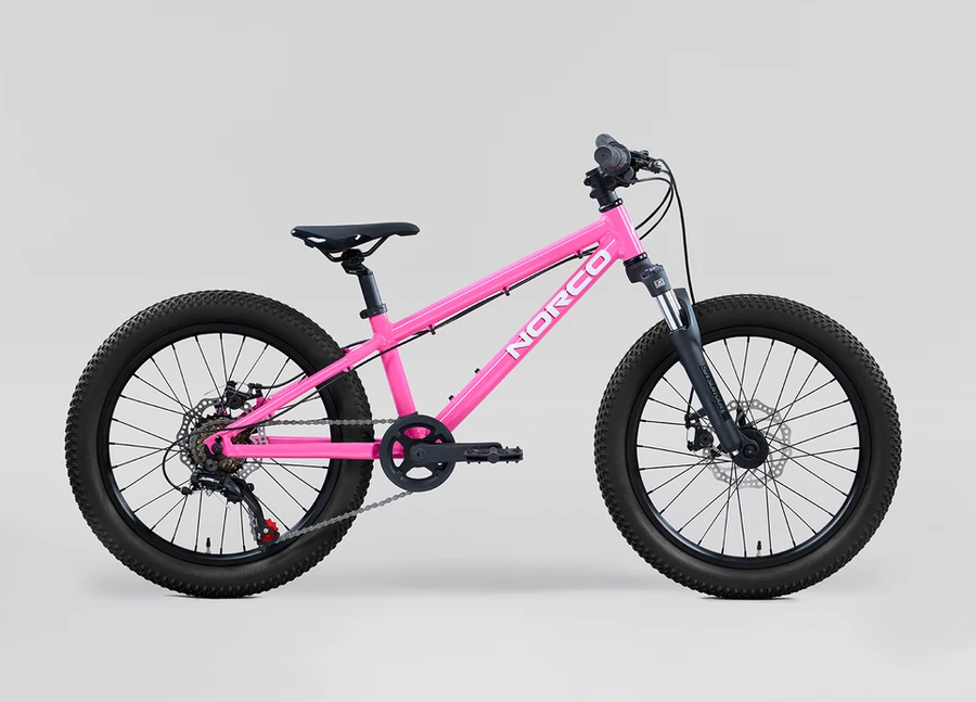 Norco 2026 Norco Storm 20"