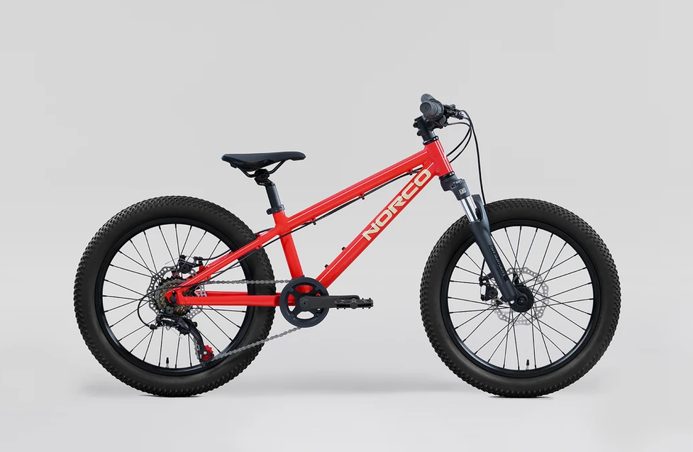 Norco 2026 Norco Storm 20"