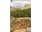 Flash Press Mammoth Bouldering Guide Book By Barrett