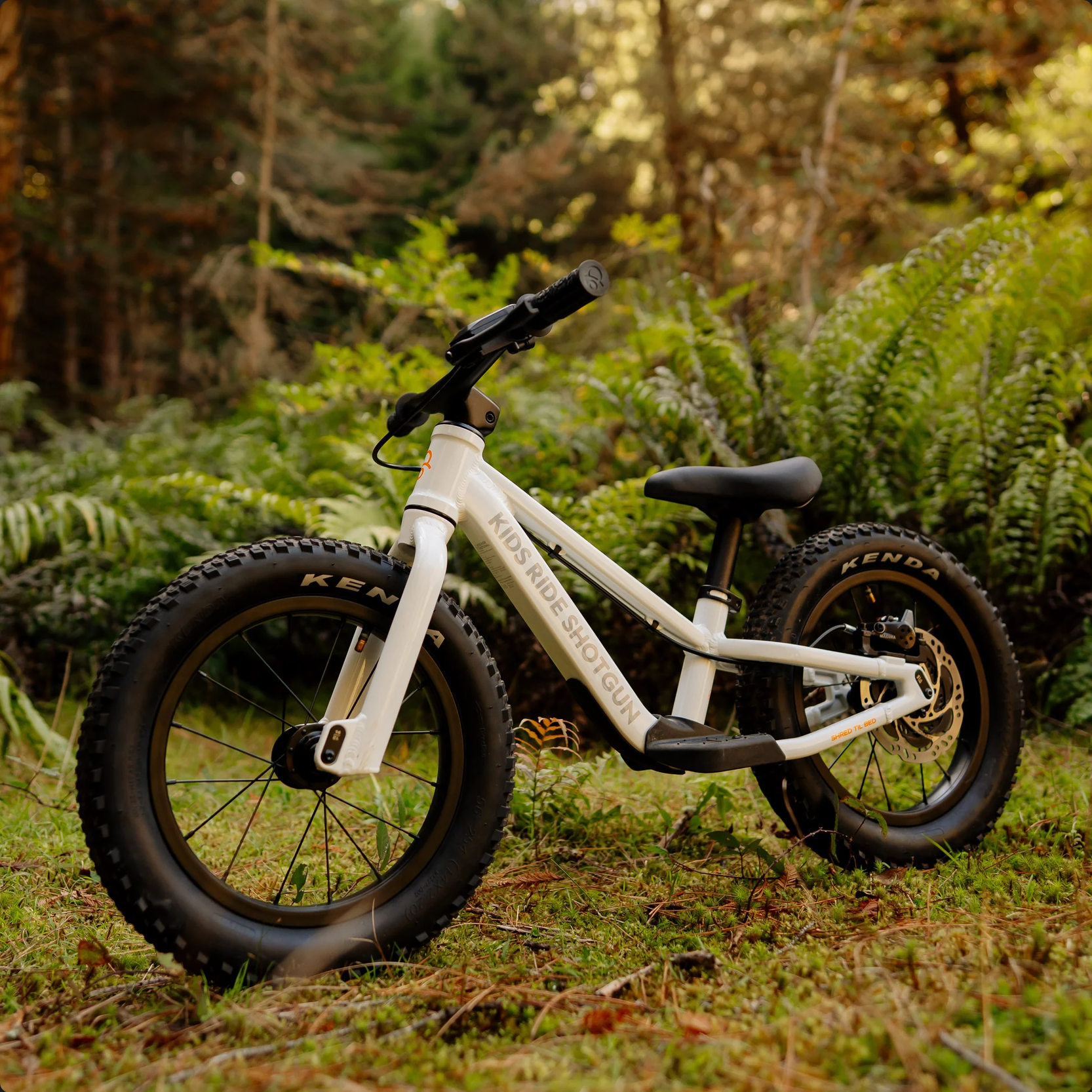 Kids Ride Shotgun Kids Ride Shotgun Dirt Hero Off Road Balance Bike