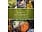 Skipstone Dirty Gourmet: Food for your Outdoor Adventures Book