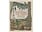 Mountaineers Books Knowing the Trees: Discover the Forest from Seed to Snag Book
