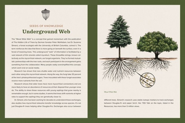 Mountaineers Books Knowing the Trees: Discover the Forest from Seed to Snag Book