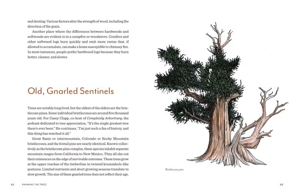 Mountaineers Books Knowing the Trees: Discover the Forest from Seed to Snag Book