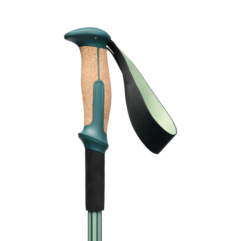 Black Diamond Black Diamond Trail Vista Shock Trekking Poles
