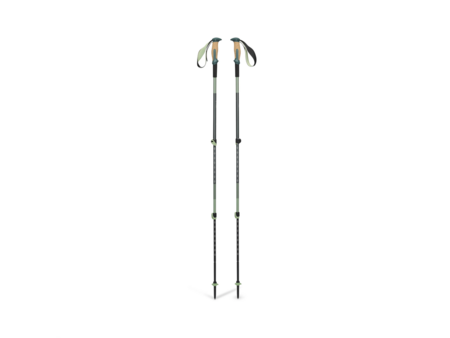 Black Diamond Black Diamond Trail Vista Shock Trekking Poles