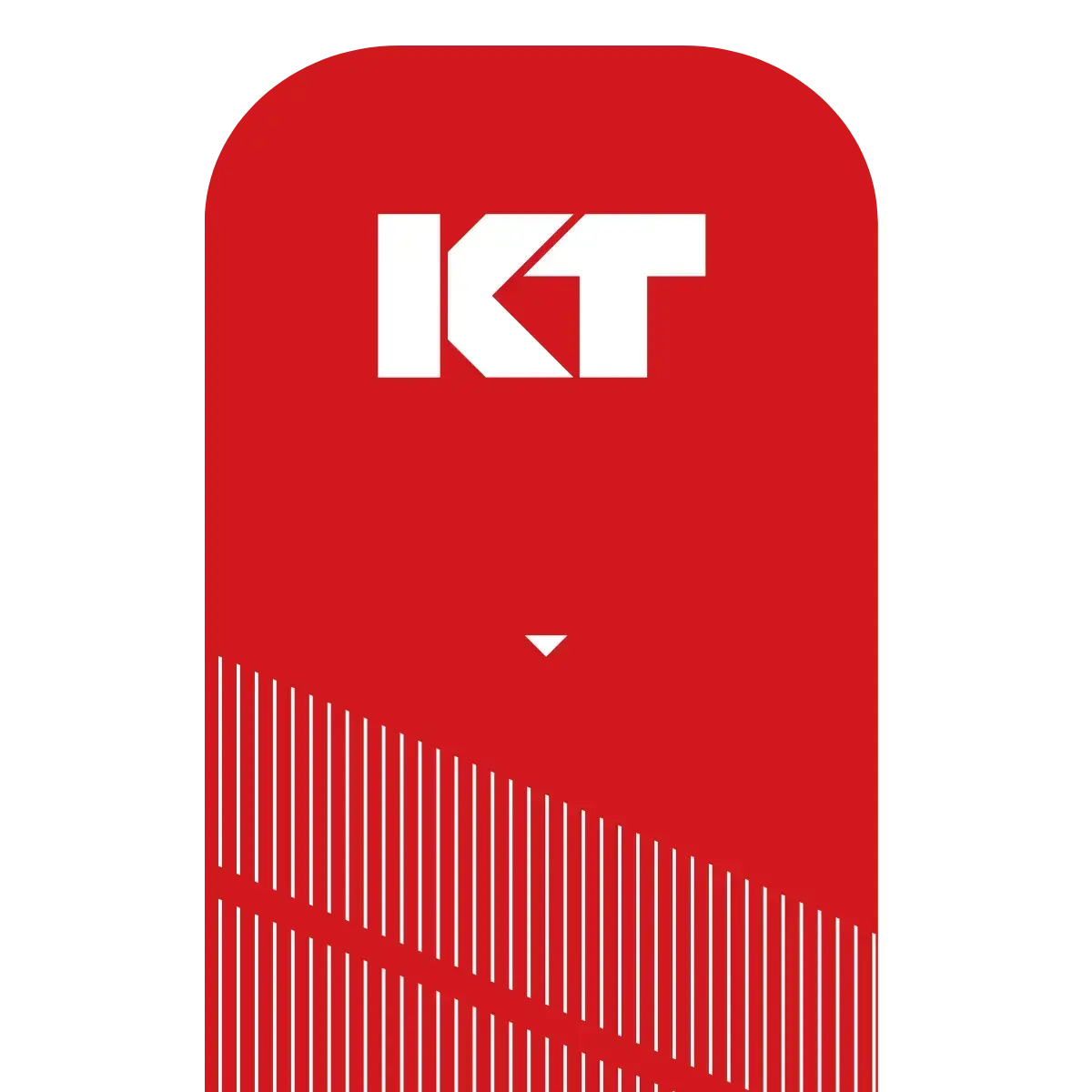 KT TAPE KT Tape Pro Synthetic Pre Cut Red