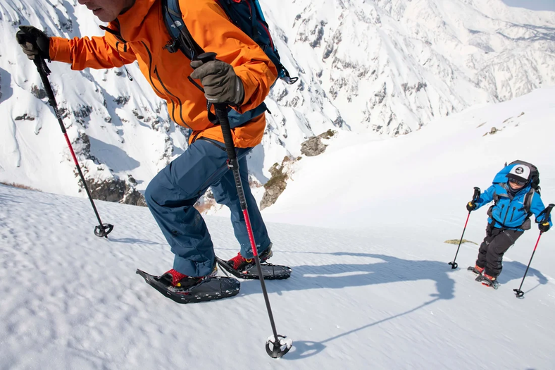 MSR MSR Dynalock Ascent Carbon Poles