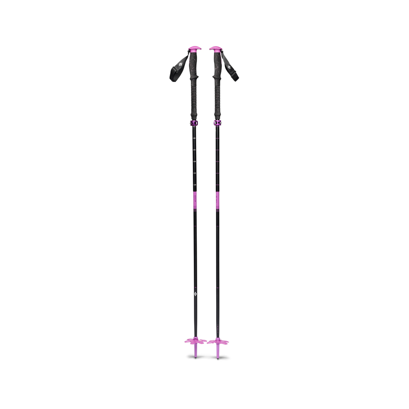 Black Diamond Black Diamond Expedition Compactor Poles