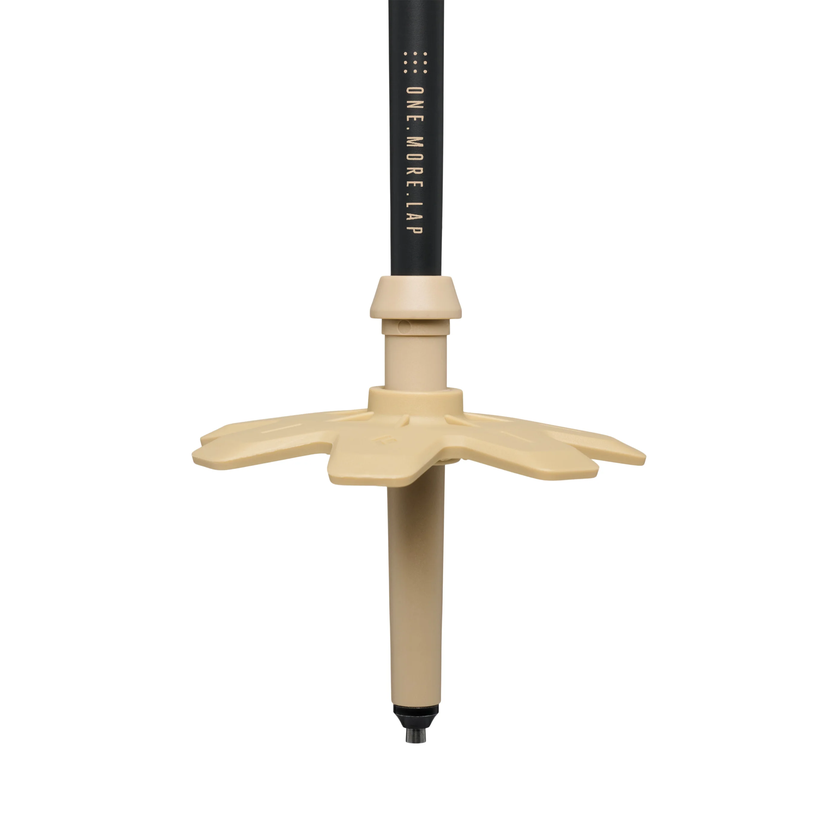 Black Diamond Black Diamond Expedition Carbon Pro Ski Poles