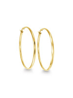 PARÉ Boucles d'oreille Anneaux stainless steel