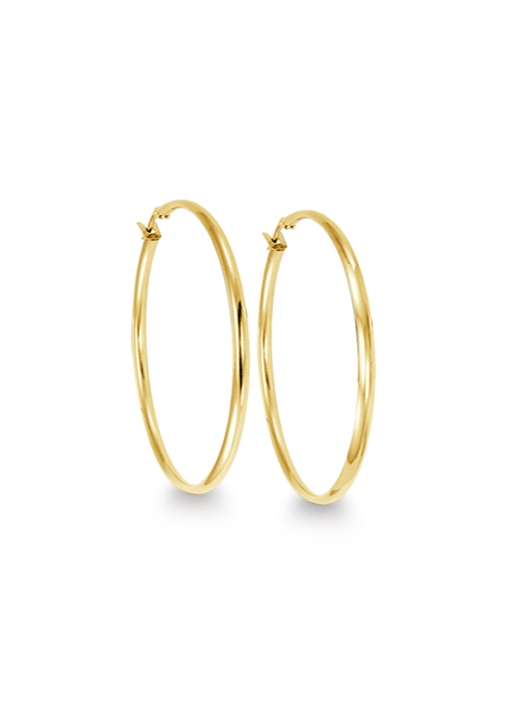 PARÉ Boucles d'oreille Anneaux stainless steel