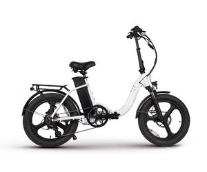 Magnum folding electric bike new arrivals