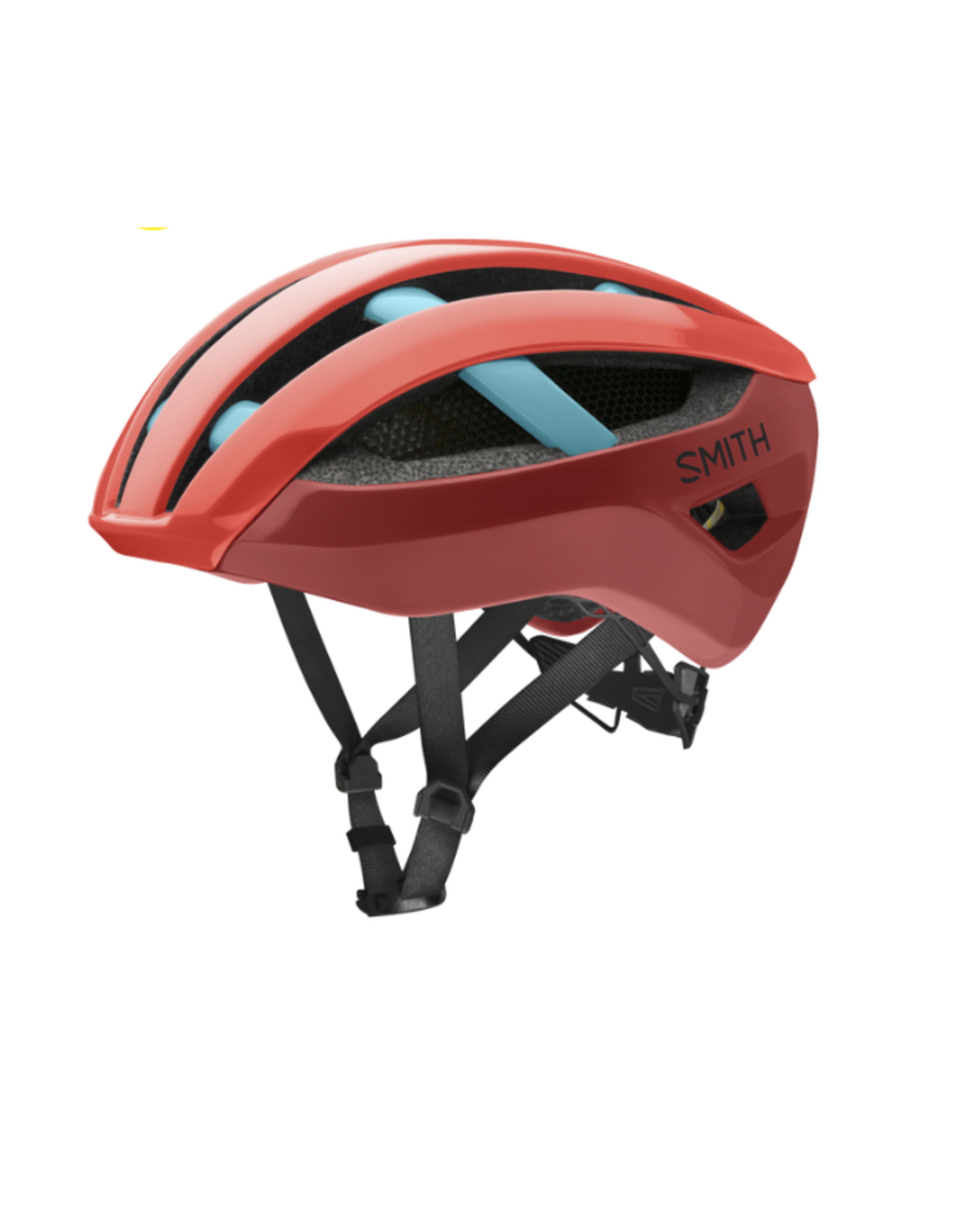 Smith Optics SmithOptics Network Mips