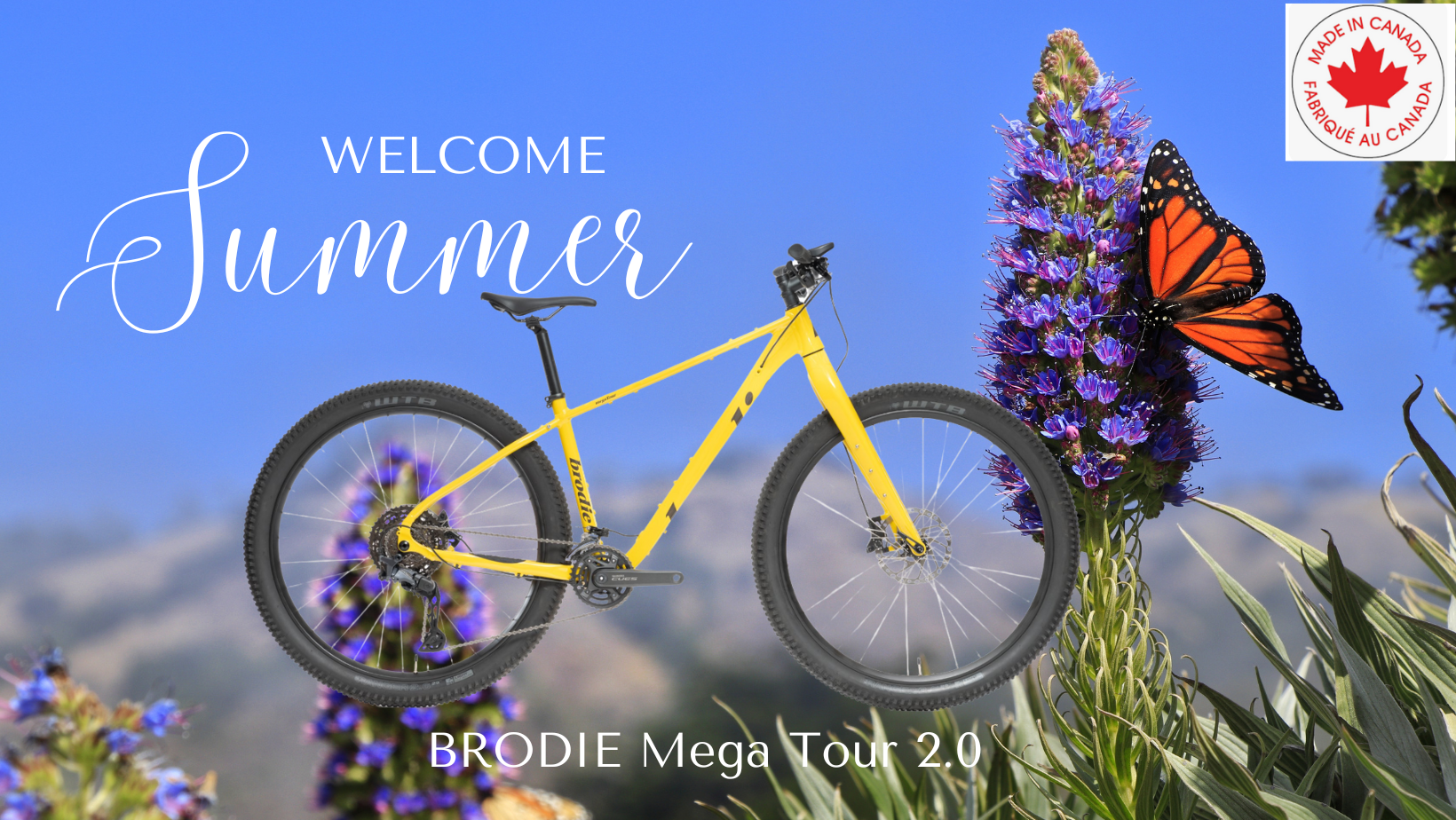 Brodie Mega Tour