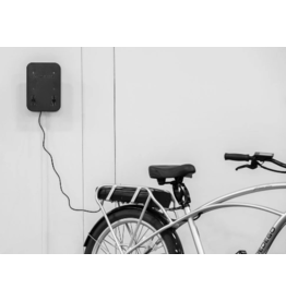 Pedego Pedego Charger Caddy