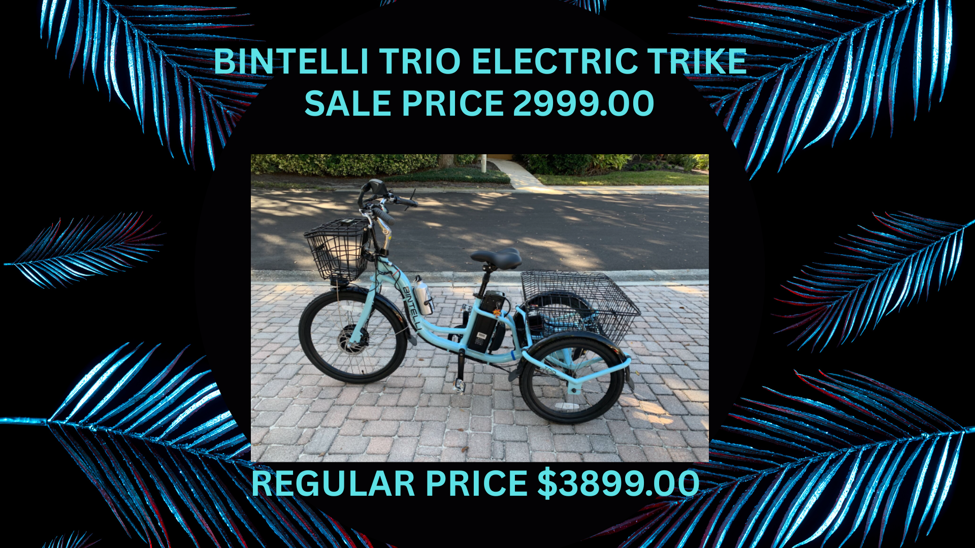 bintelli trio