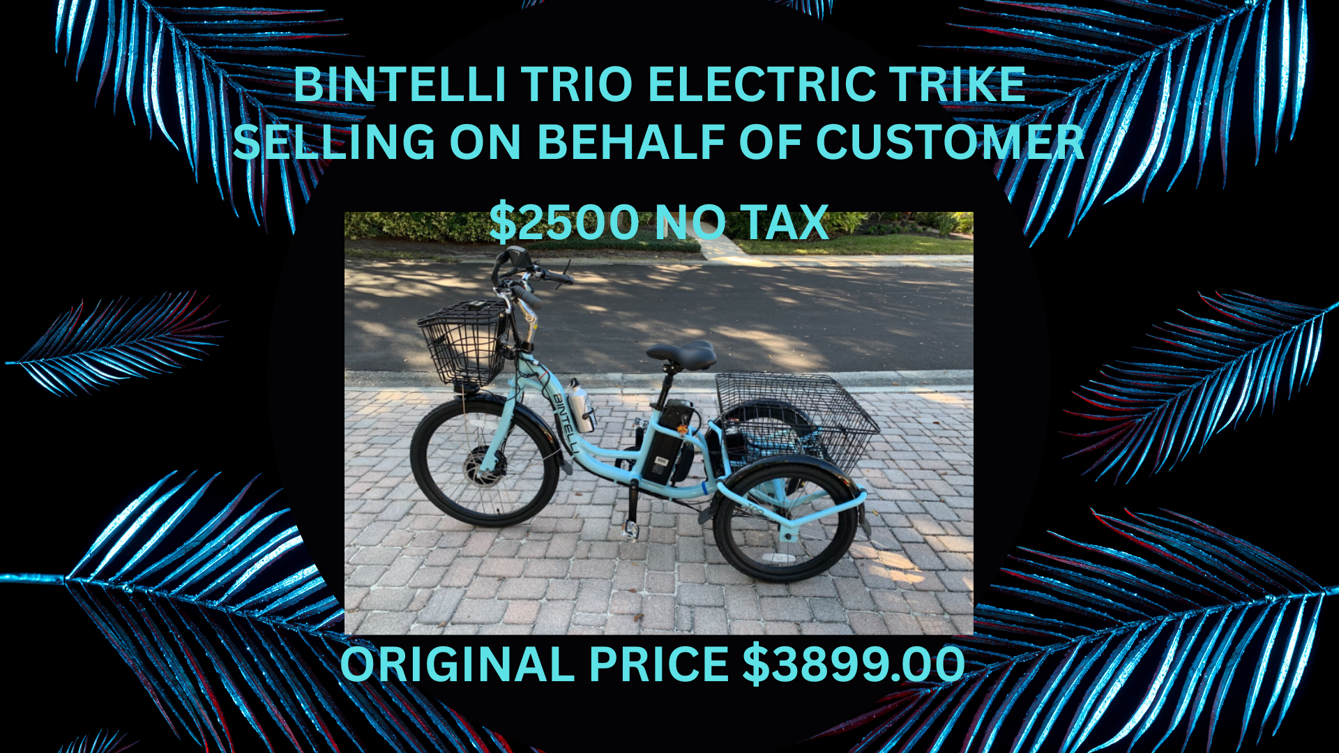 bintelli trio
