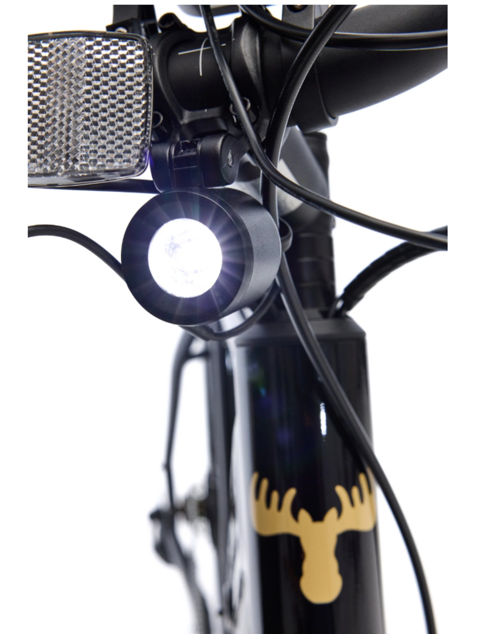 Moose Caravelle Lightweight eBike