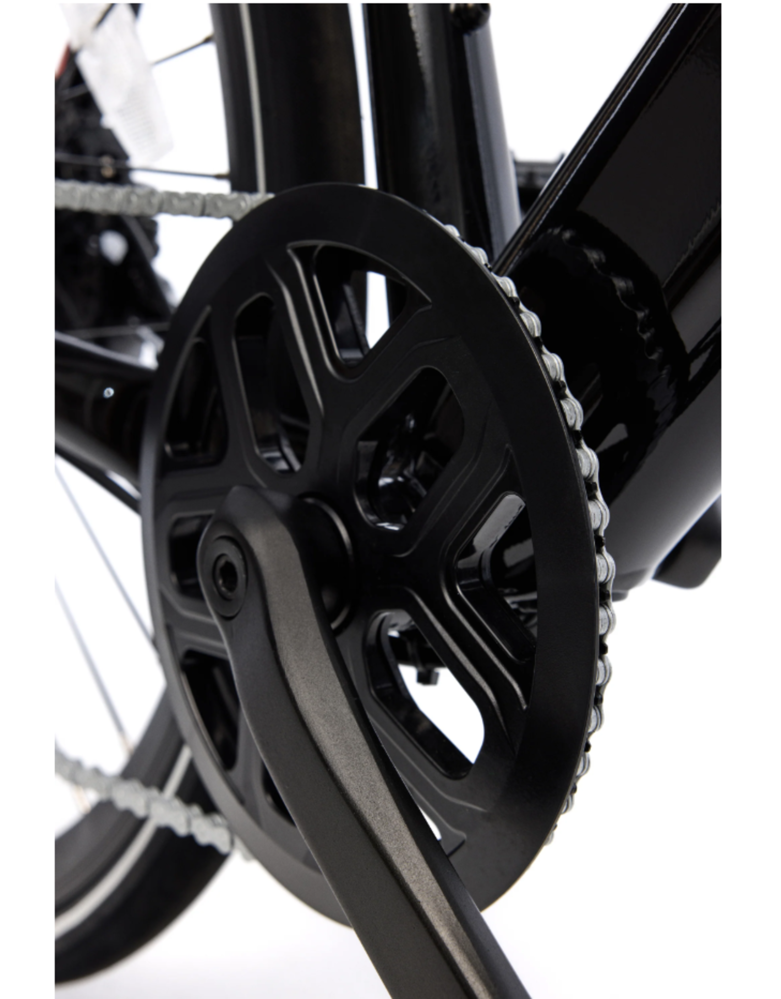 Moose Caravelle Lightweight eBike