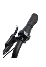 Moose Caravelle Lightweight eBike