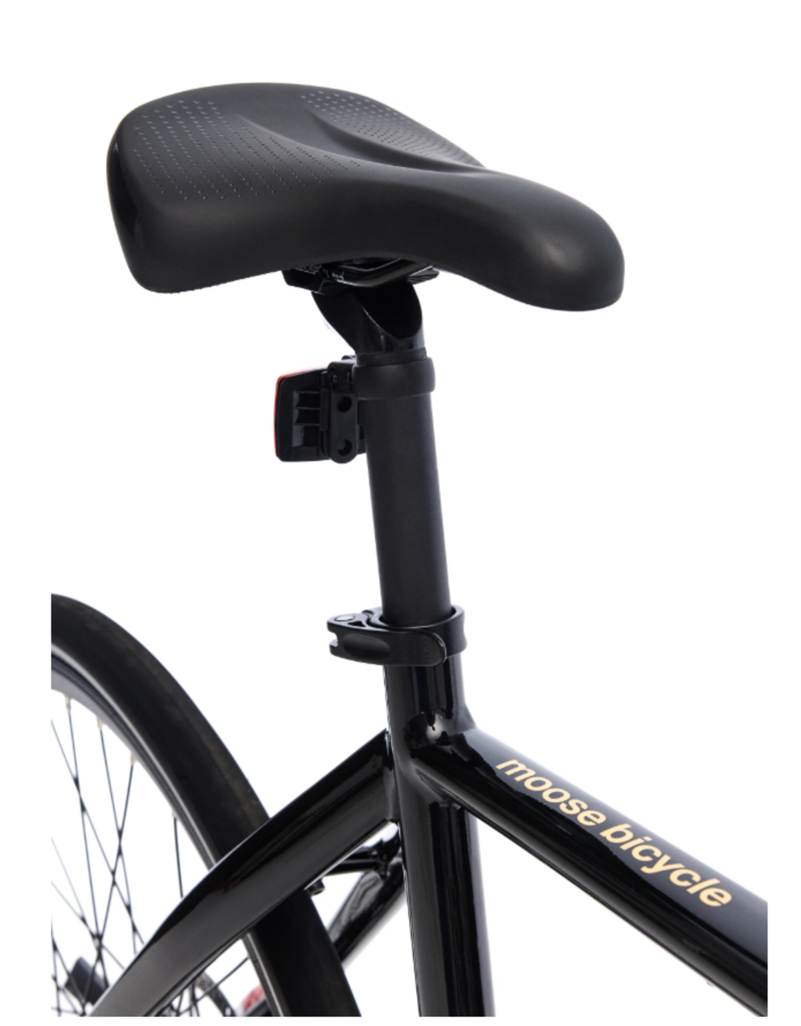 Moose Caravelle Lightweight eBike