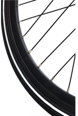 Moose Caravelle Lightweight eBike