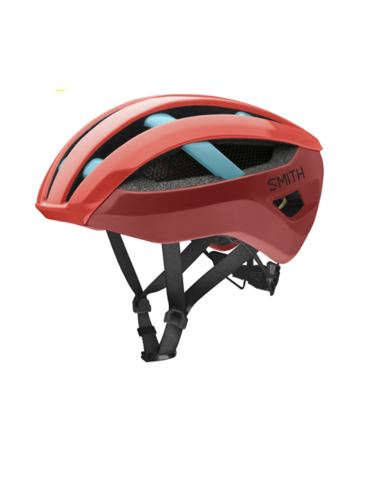 Smith SmithOptics Network Mips