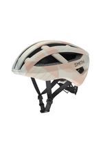 Smith SmithOptics Network Mips