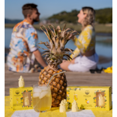 Poseidn Mélange 3D pour cocktails - Ananas et Noix de coco