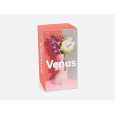 DOIY Design Vase Venus - Rose