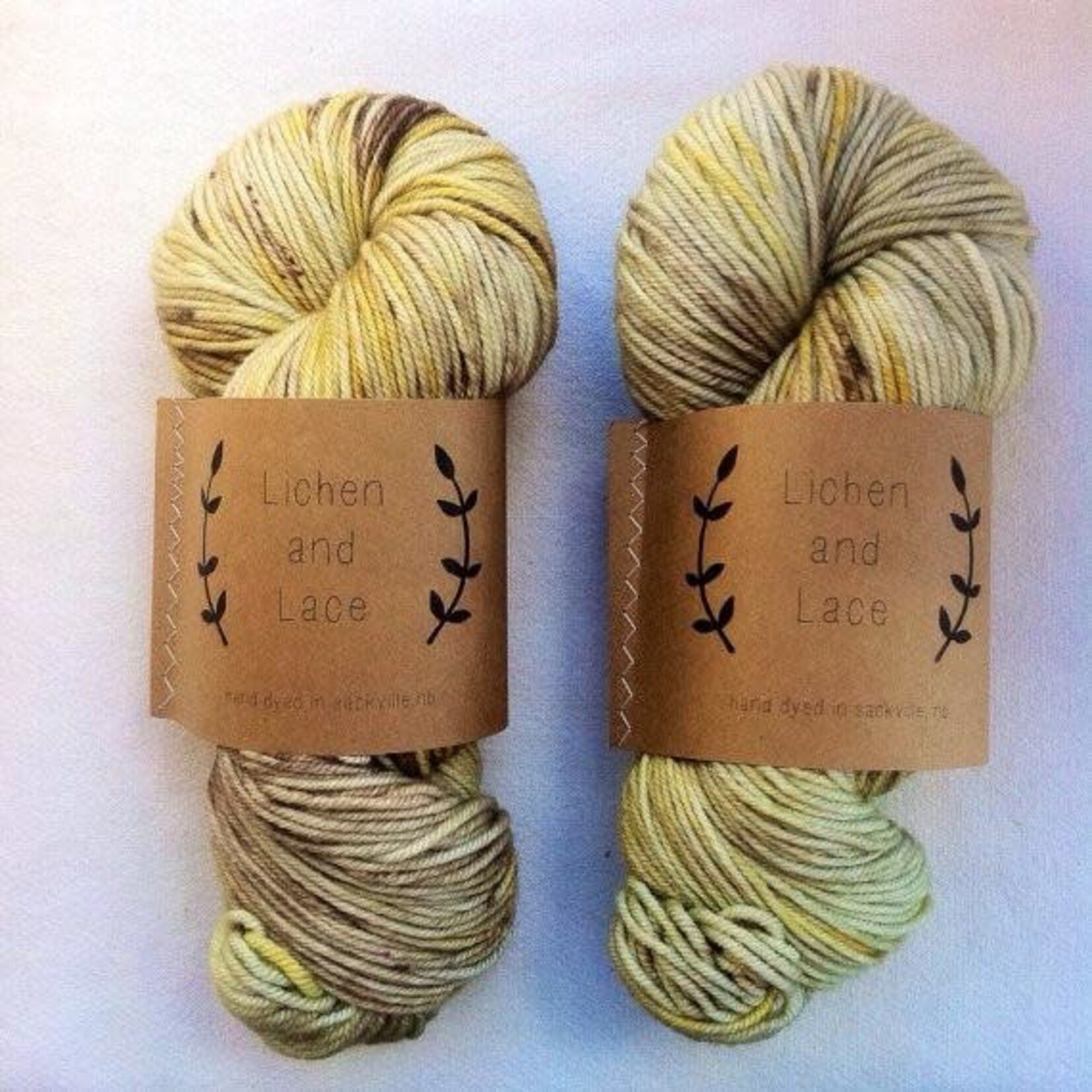 Lichen and Lace Lichen and Lace - 80/20 Sock - Shroom