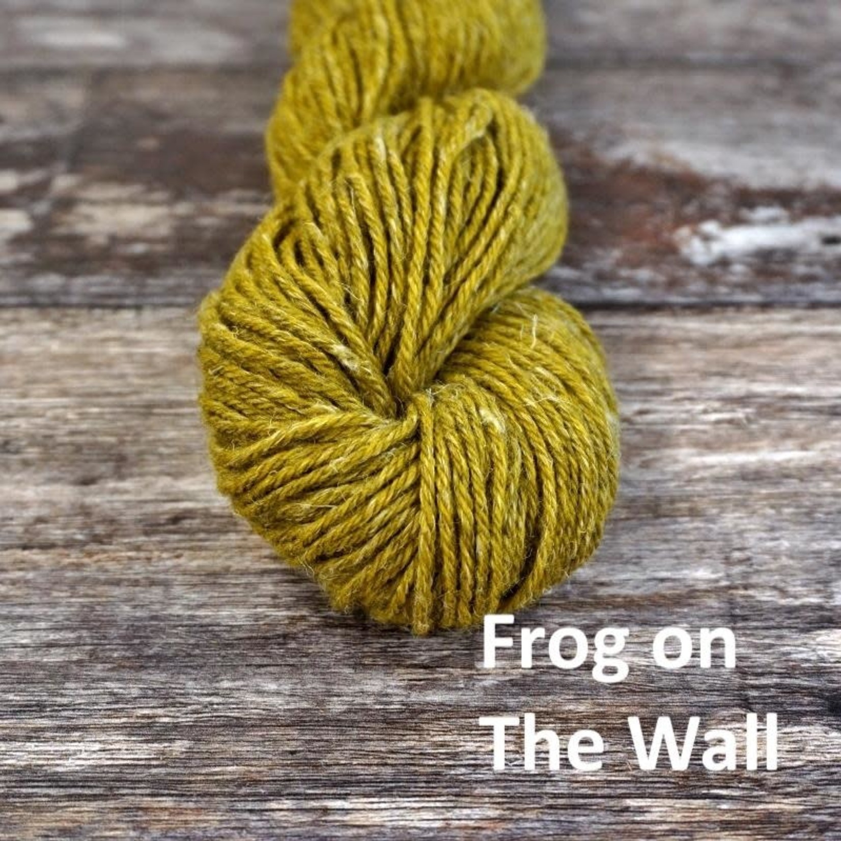 Nua - Frog On The Wall 9802