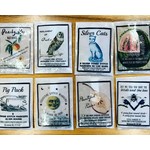Stitch Markers & Other Accessories