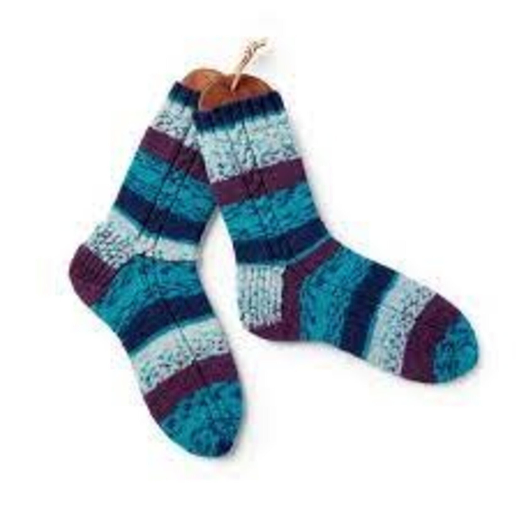Patons Patons Kroy Socks - Blue Raspberry