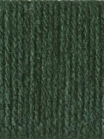 Bernat Super Value - Deep Sea Green