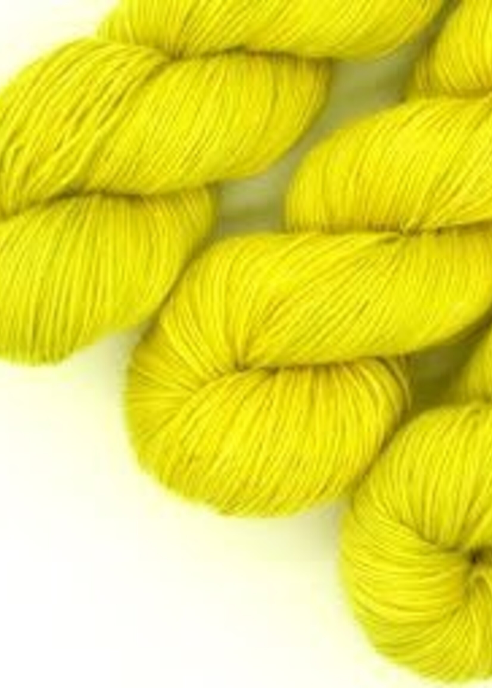 Julie Asselin JA Leizu DK Yellow Tang