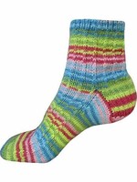 Patons Patons Kroy Socks - Meadow