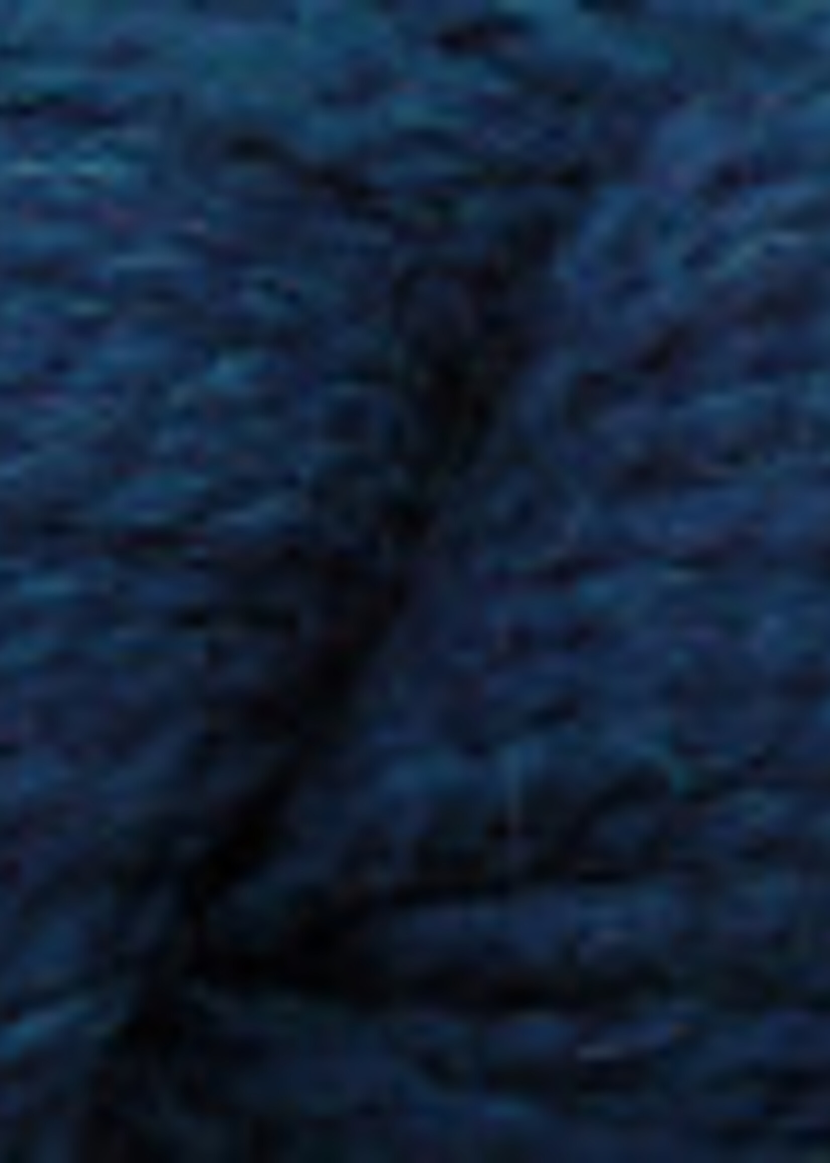 Estelle Yarns Highland Alpaca Chunky - Indigo