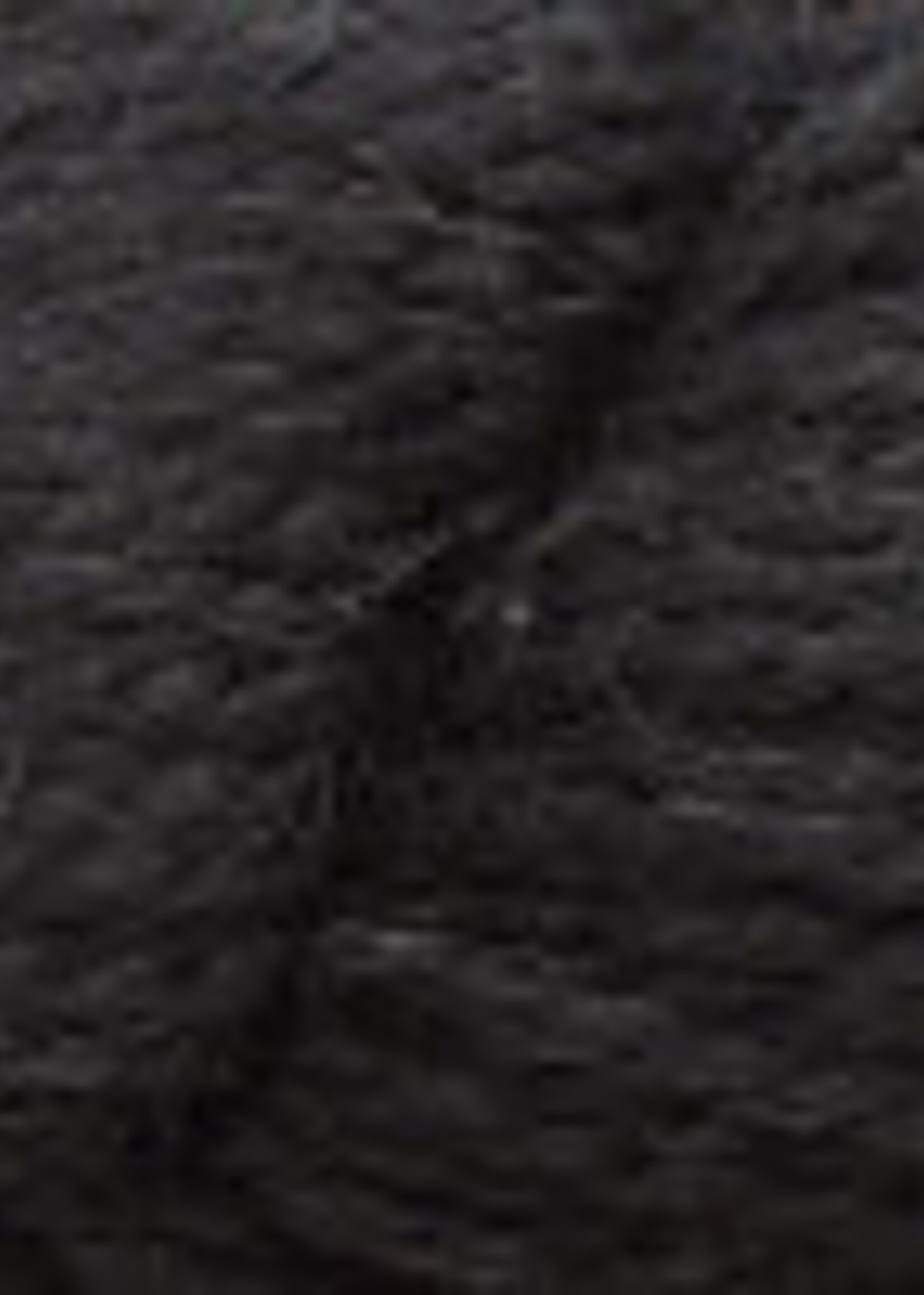 Estelle Yarns Highland Alpaca Chunky - Black
