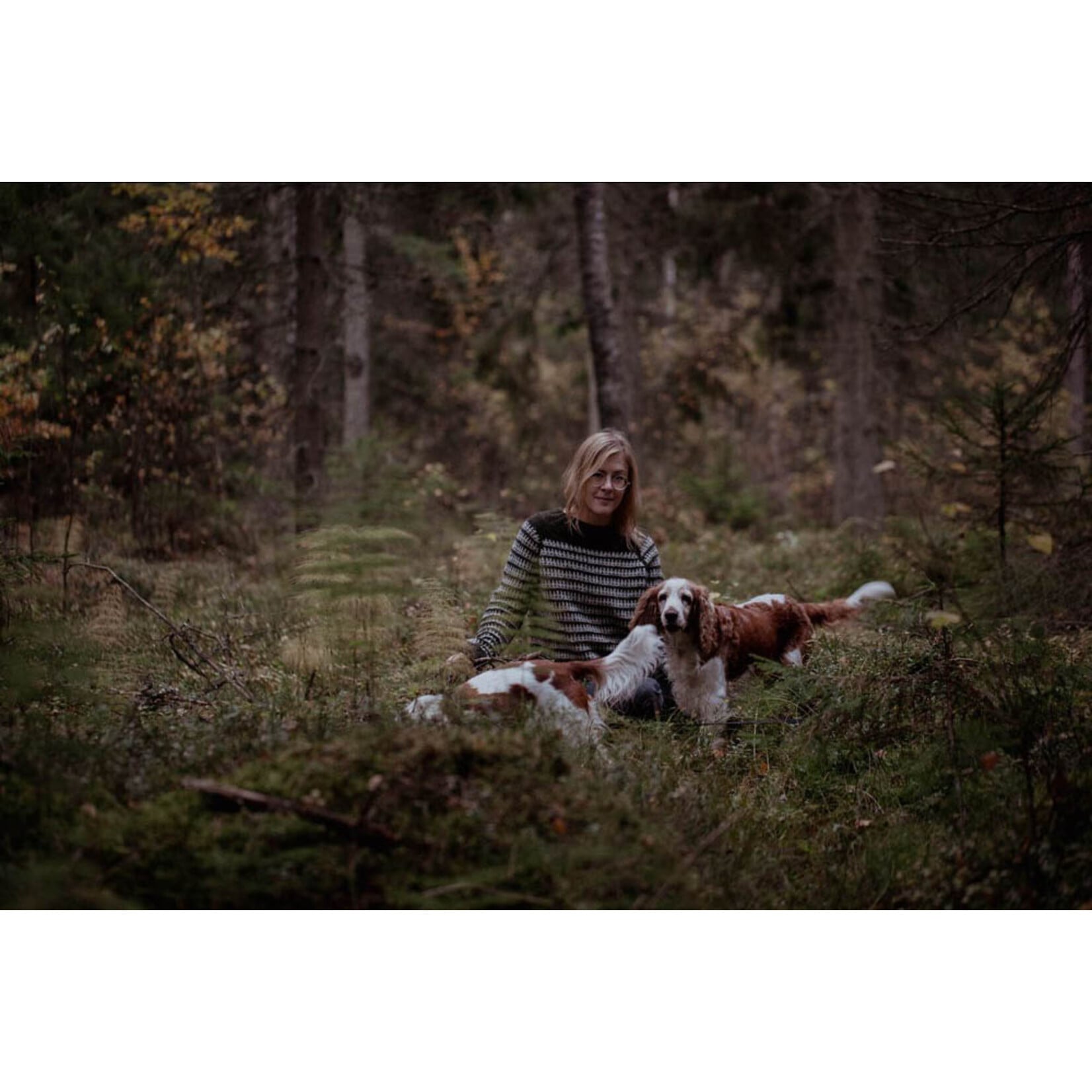 Book - Observations: Knits and Essays from the Forest by Lotta H. Löthgren